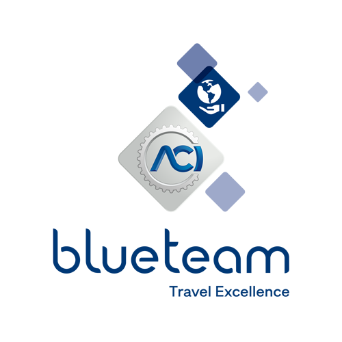 ACI blueteam logo