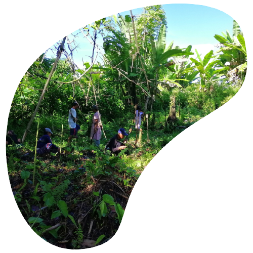 One Tree Planted Filippine